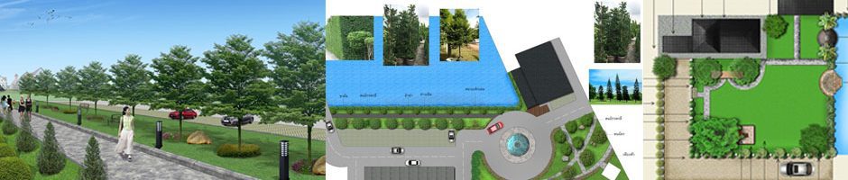 Landscape & Garden Design Class Photos รูปคลาสเรียน ออกแบบจัดสวน ออกแบบภูมิทัศน์